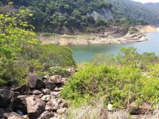 大围村-香港-貓貓達