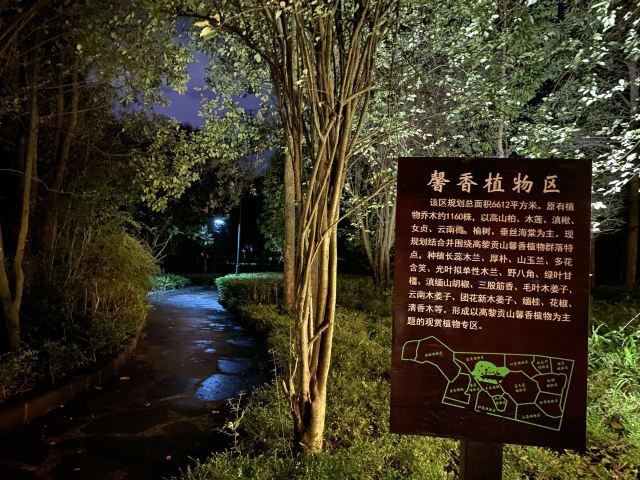 高黎贡山植物园旅行图片 9