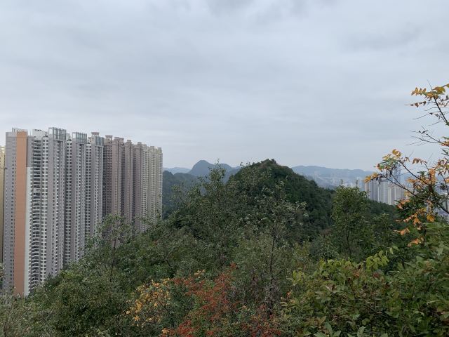 云贵山山头公园旅行图片 9