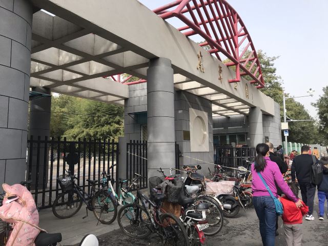 东单公园旅行图片 3