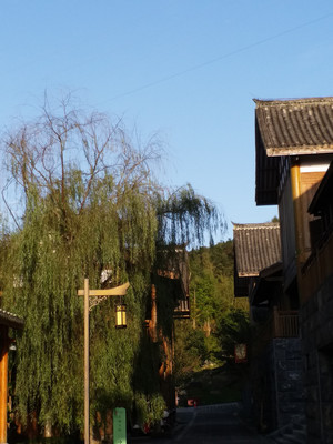 《桃花源旅游路线汇总攻略》