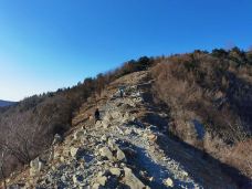 北京鹫峰国家森林公园-北京-红糖泡泡