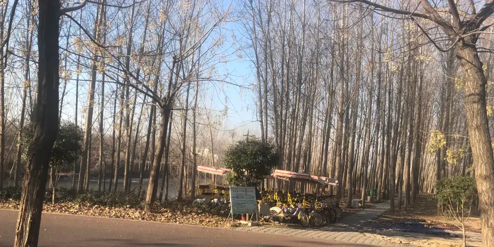 永安旅遊