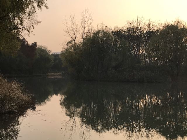 新江湾湿地生态观鸟拍鸟基地旅行图片 5