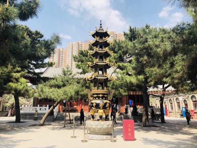 护国般若寺旅行图片 6