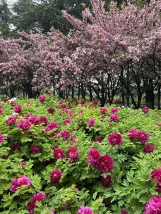 栾川蝴蝶谷景区-栾川-cparissh