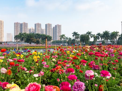 南宁市花卉公园