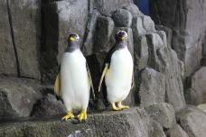 海滨城浩海立方海洋公园-成都-C-IMAGE