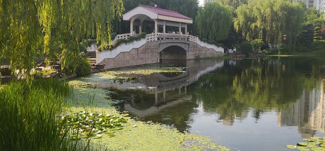 曲阳公园旅行图片 3