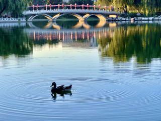 华夏名亭景区是陶然亭公园里的园中园