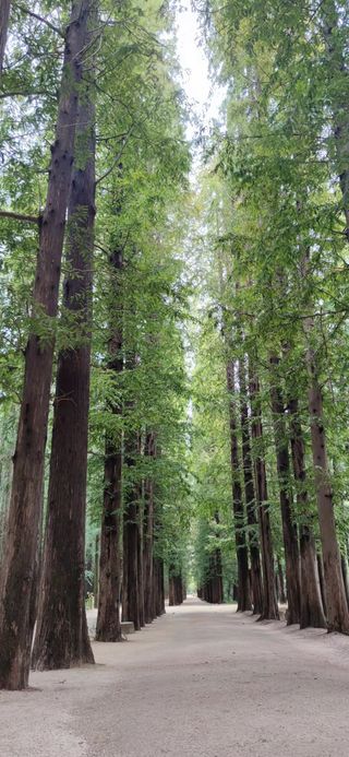 日照假期旅游攻略