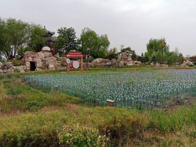 水上公园旅行图片 8