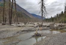 Meager Creek Hotspring景点图片