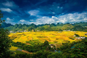 万峰林街道游记图文-乡游黔中·兴义市 万福村丨油菜花开满！最早的金色春天在这里