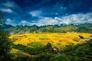 乡游黔中·兴义市 万福村丨油菜花开满！最早的金色春天在这里