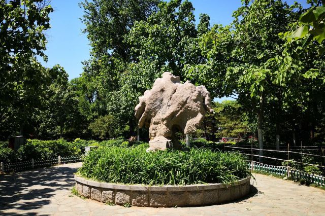 双秀公园旅行图片 5