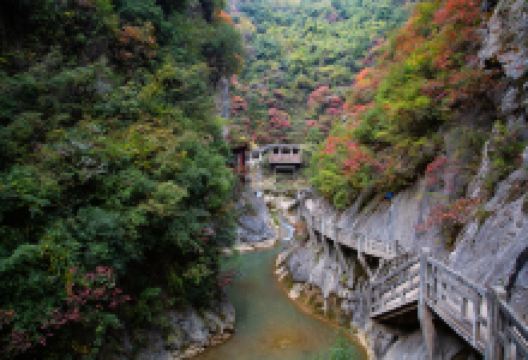 陇南西狭颂摩崖景点图片