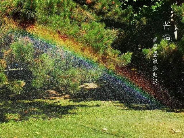 北京国际雕塑公园旅行图片 2