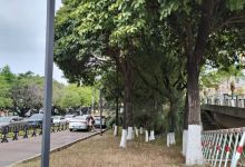 企石镇江滨公园景点图片