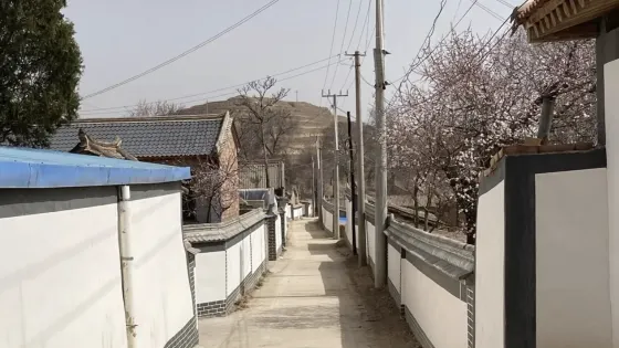 陽坡村