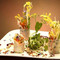O Papilles - Le restaurant
