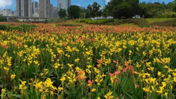 河灘公園