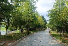 雁家湖植物园景点图片