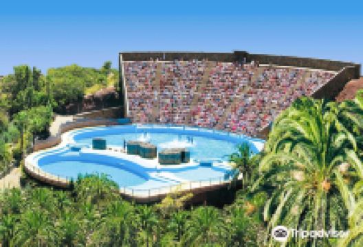 帕尔米图斯动植物园景点图片