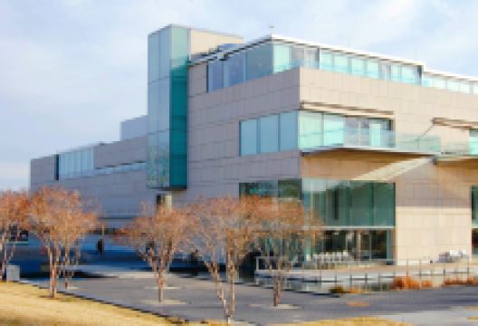 Virginia Museum of Fine Arts景点图片