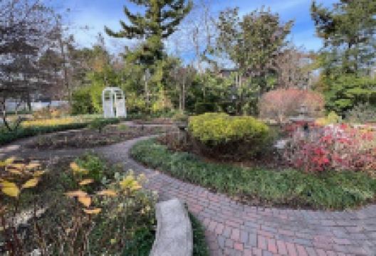 Barnegat Light Landscape and Garden Center购物图片