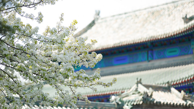 北京+颐和园+八达岭长城+恭王府+天坛公园4日3晚私家团·『皇城烟火处·京华梦中游』『南锣鼓巷+五道营+杨梅竹斜街文艺探寻』『自享三轮车胡同游·探索铜锅涮肉等胡同特色』『1单1团0购物·行程可调·情侣/闺蜜/兄弟专属』