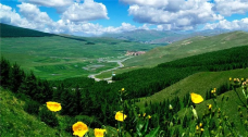 翠云山国际旅游度假区-张家口
