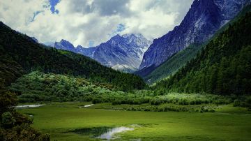 稻城亚丁-冲古草甸