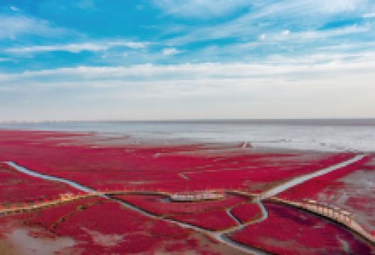 红海滩国家风景廊道景点图片