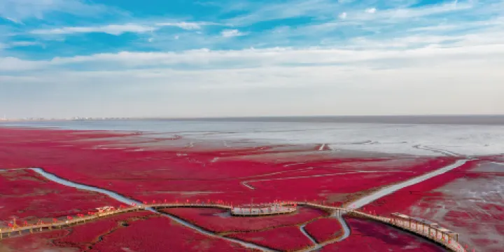 紅海灘國家風景廊道