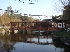 曾园赵园-常熟-猫猫在旅行