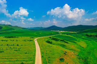 16度七彩森林｜心动便是美，深情便是锦绣