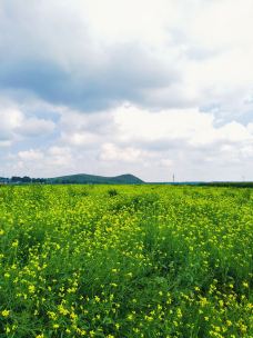 滦河神韵-沽源-用脚下的路丈量这个世界