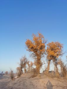 塔里木沙漠公路-且末-JJ77