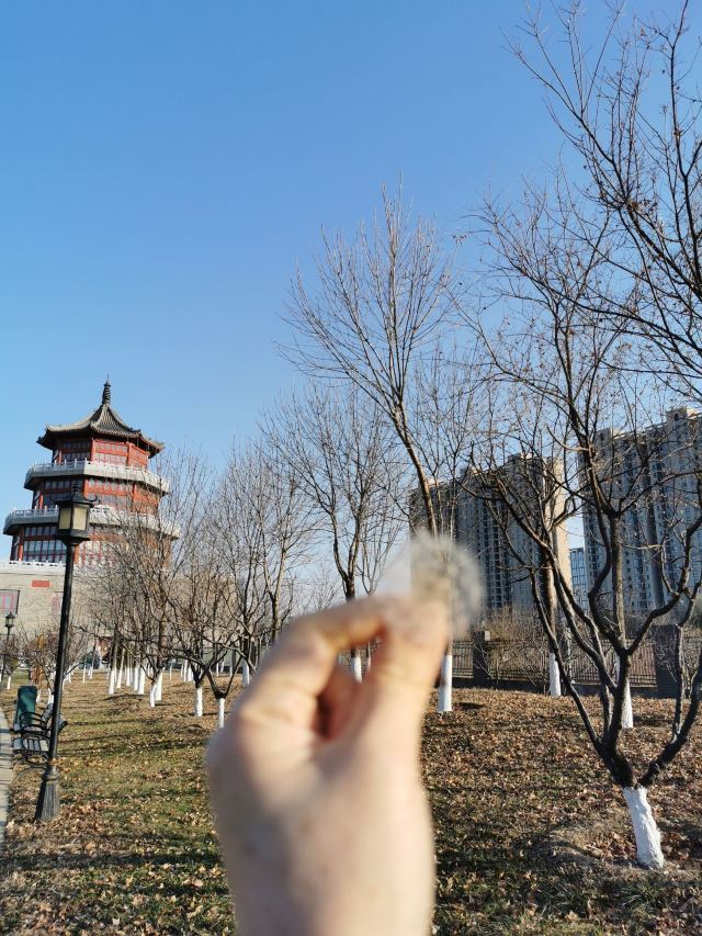 西局玉璞园旅行图片 2