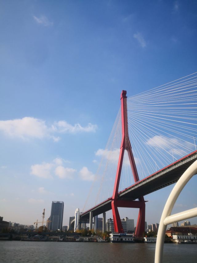 大桥公园旅行图片 2