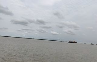 长江第一滩，入海口的江滩——上海3日（1）