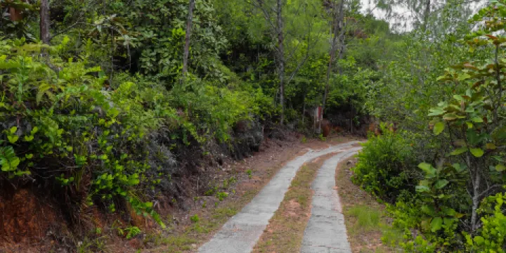 西歸浦自然休養林