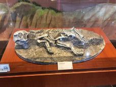 河源恐龙博物馆-河源-aruvwv