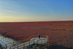 盘锦游记图片] 红海滩航拍最美日落游记——入住盘锦喜来登酒店