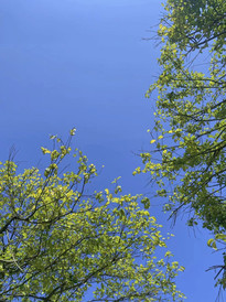 赤壁游记图片] 一半是家常里短， 一半是山川湖海。---带着父母踏春，去游湖。