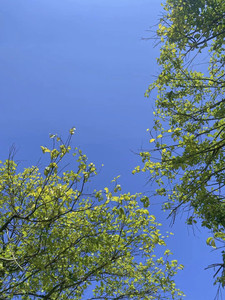 赤壁游记图文-一半是家常里短， 一半是山川湖海。---带着父母踏春，去游湖。