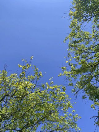 一半是家常里短, 一半是山川湖海。---带着父母踏春,去游湖。