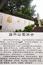 临平区游记图片] 又发现一个杭州周边的小众景点——临平公园