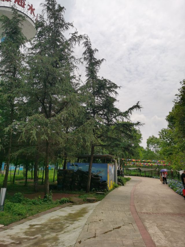 剑南春森林公园旅行图片 2